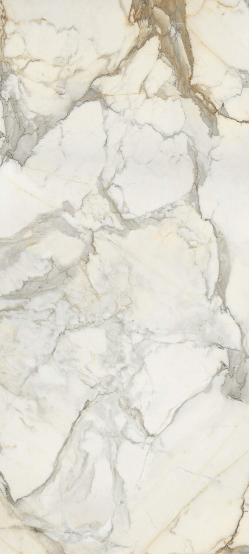 Calacatta Borghini polished porcelain tile with a white marble design, for floors and walls. Made in Italy, in a 24x48" size.