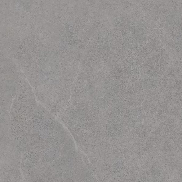 Lithos Stone Grey matte porcelain tile with a stone design, for floors and walls. In a 24x24" size.